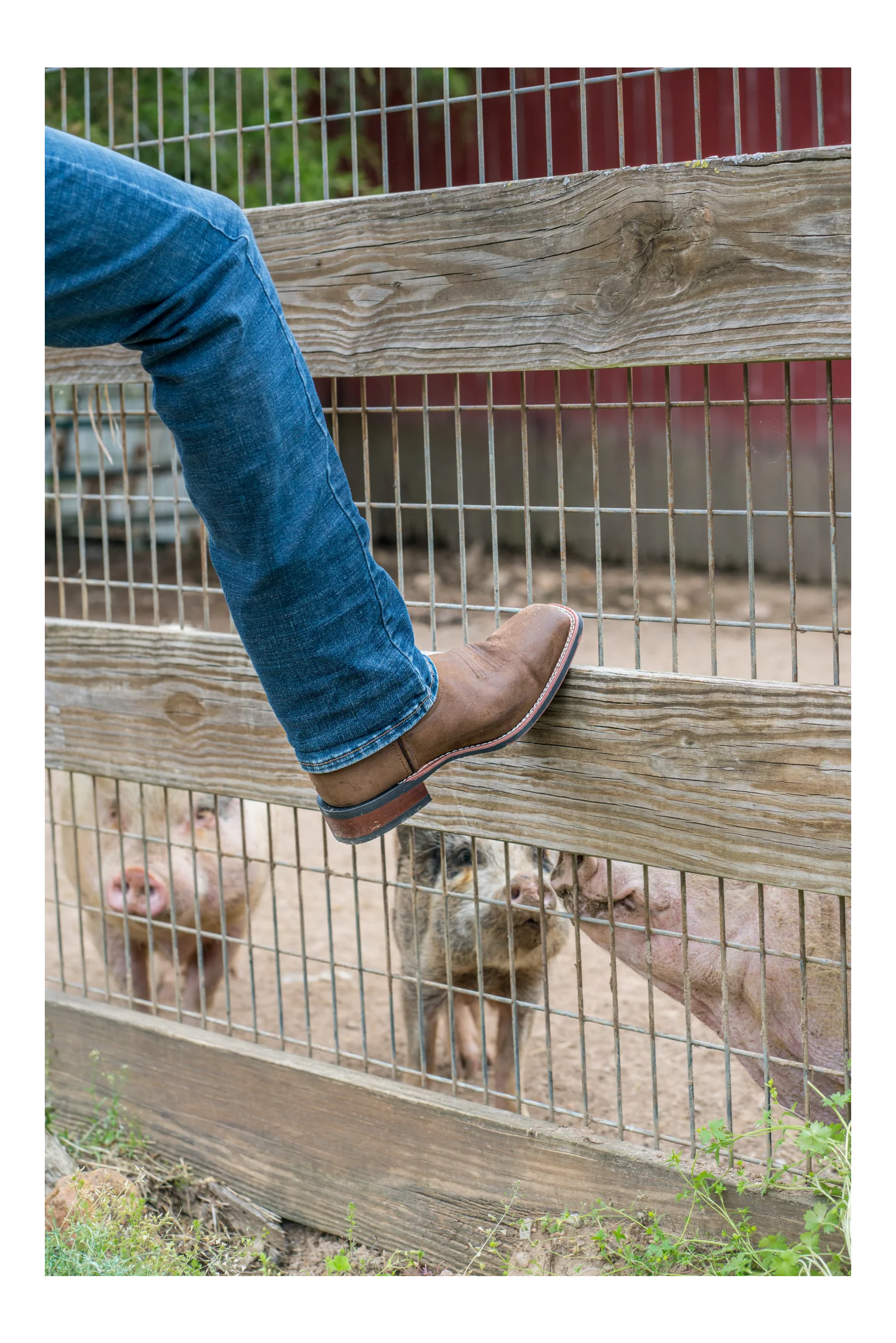 LODI LEATHER BOOT - Image 11